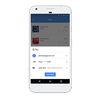 Google Pay API