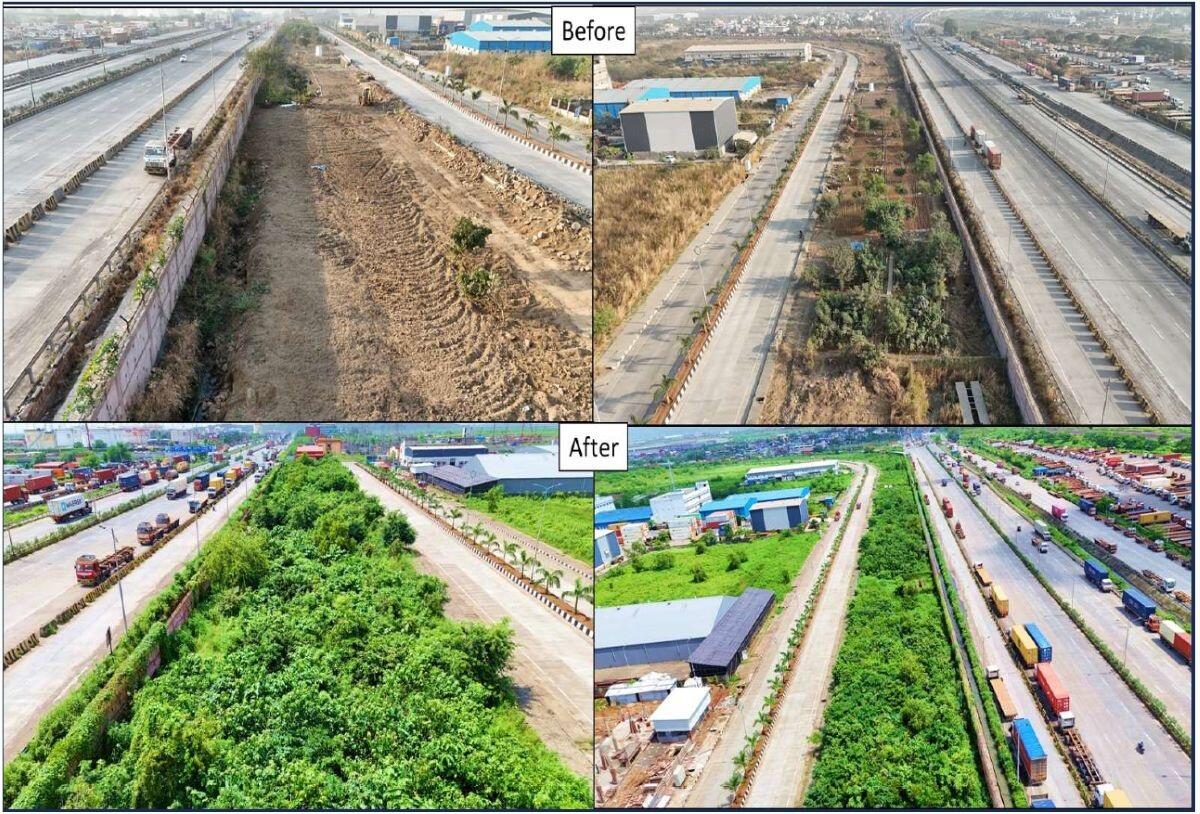 森のBefore、After