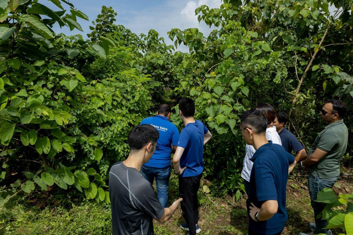 多種多様な木々が生い茂る森