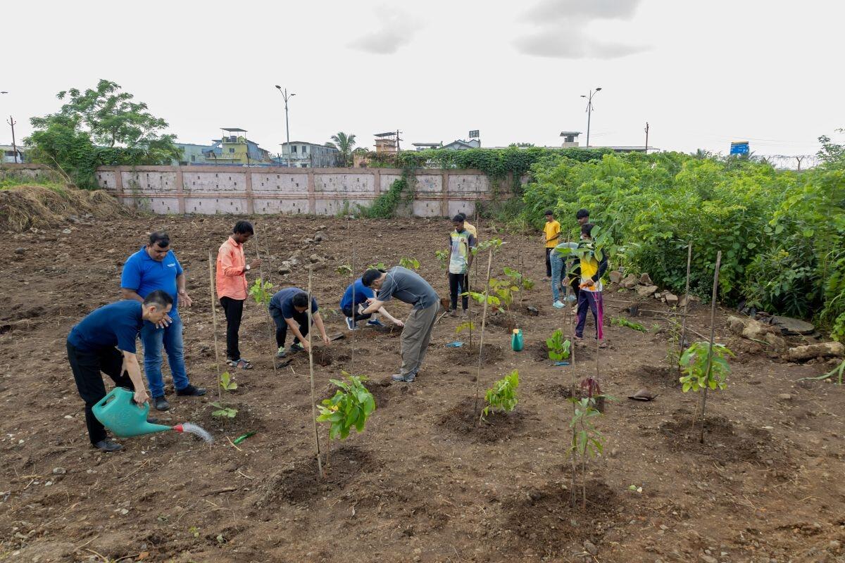 苗木には竹で支柱を立て、根鉢を傷つけないように管理