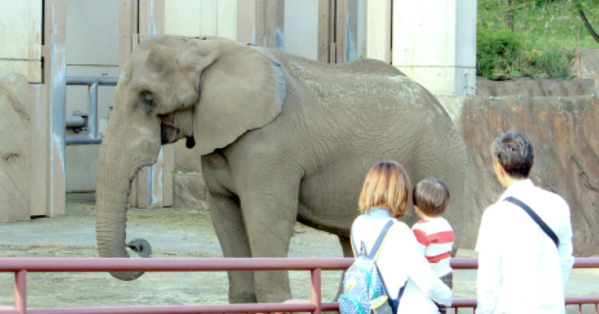 テクノロジーが動物と人の未来を変える！？渡辺さん一家が体感した未来動物園とは