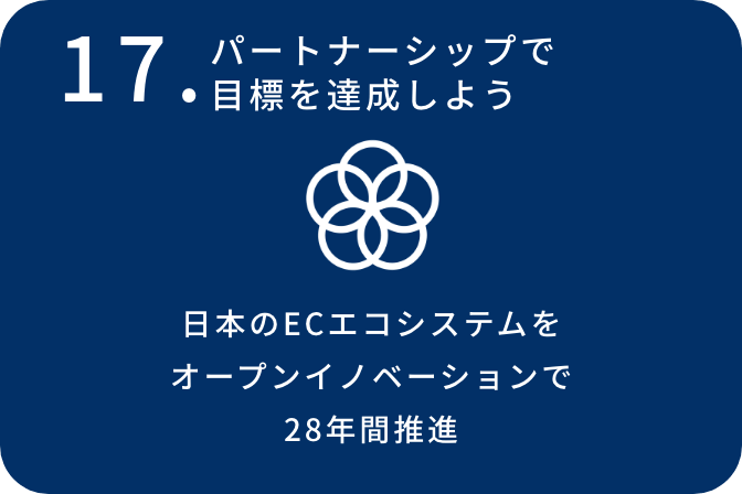 17.パートナーシップで目標を達成しよう