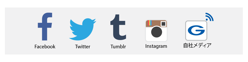 フェイスブック、ツイッター、Tunblr、インスタグラム、自社メディアなどの媒体