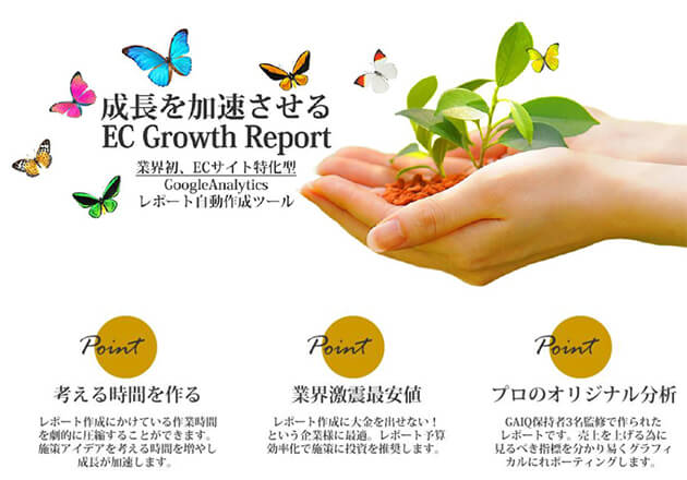 EC Growth Report