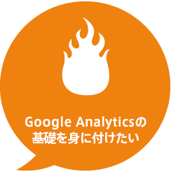 I want to learn the basics of Google Analytics