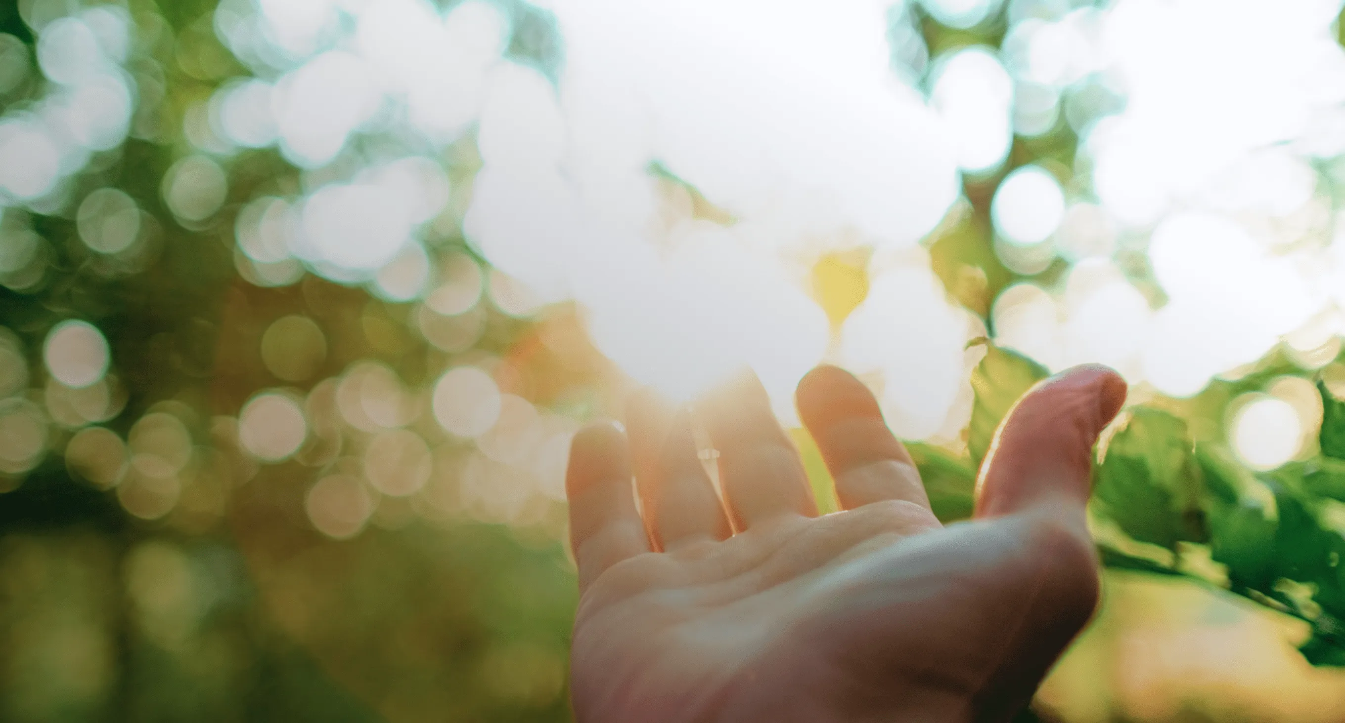 決済で、次をつくる。イメージビジュアル2